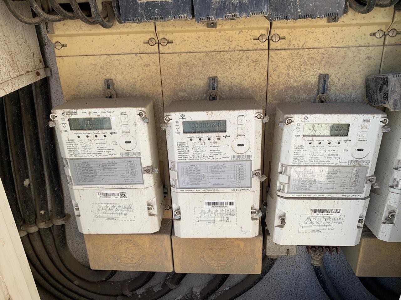 est-files1711282459010