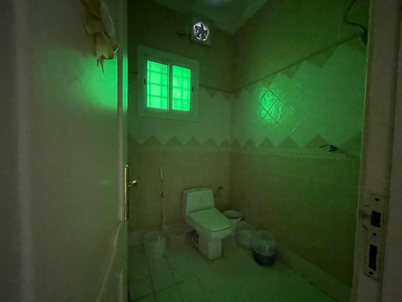 est-files1711284910832