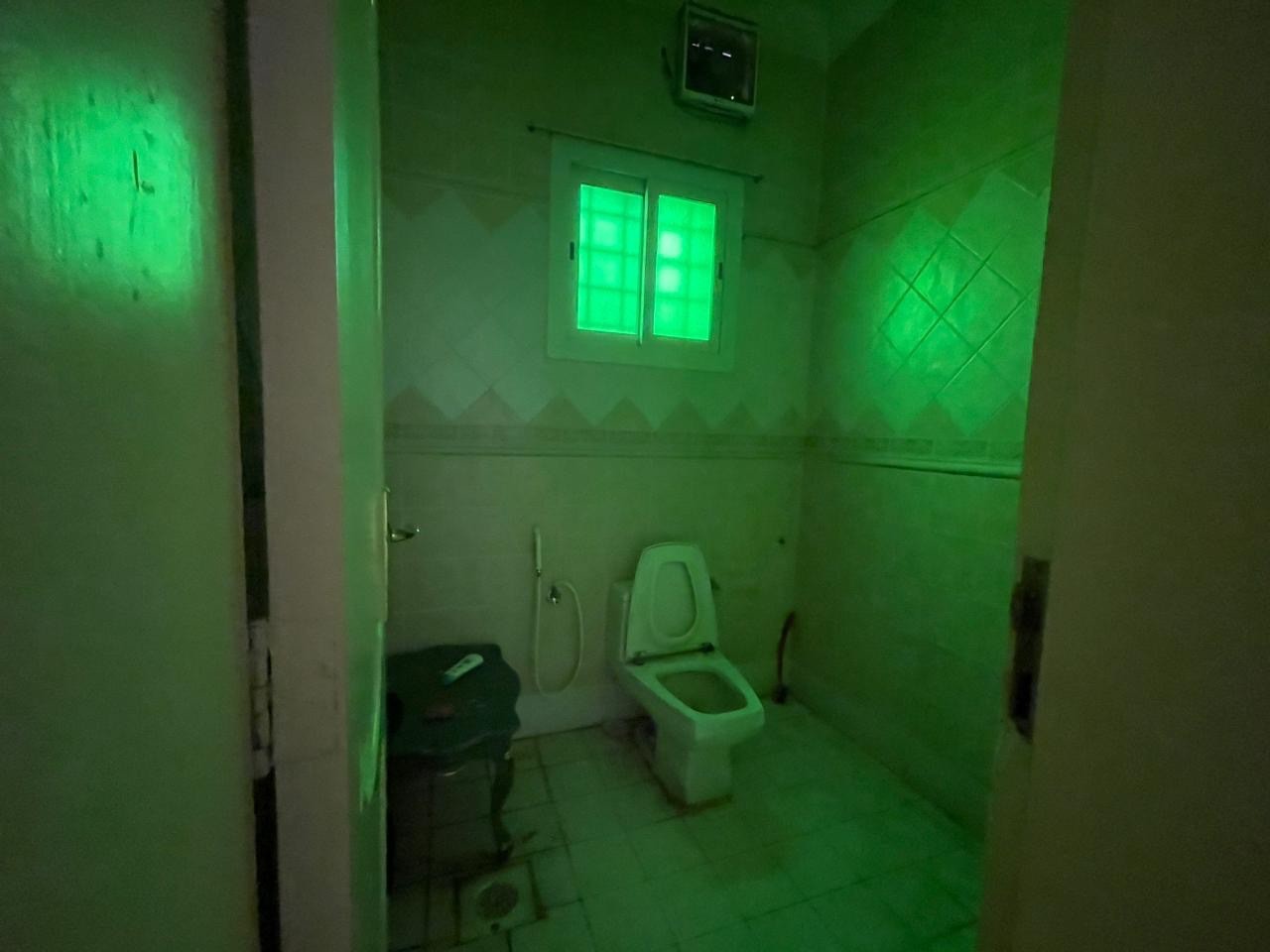 est-files1711284911853